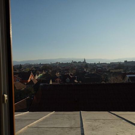 Pensiunea Flamingo Sibiu Buitenkant foto